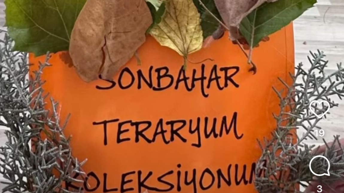 SONBAHAR TERARYUMUMU YAPIYORUM